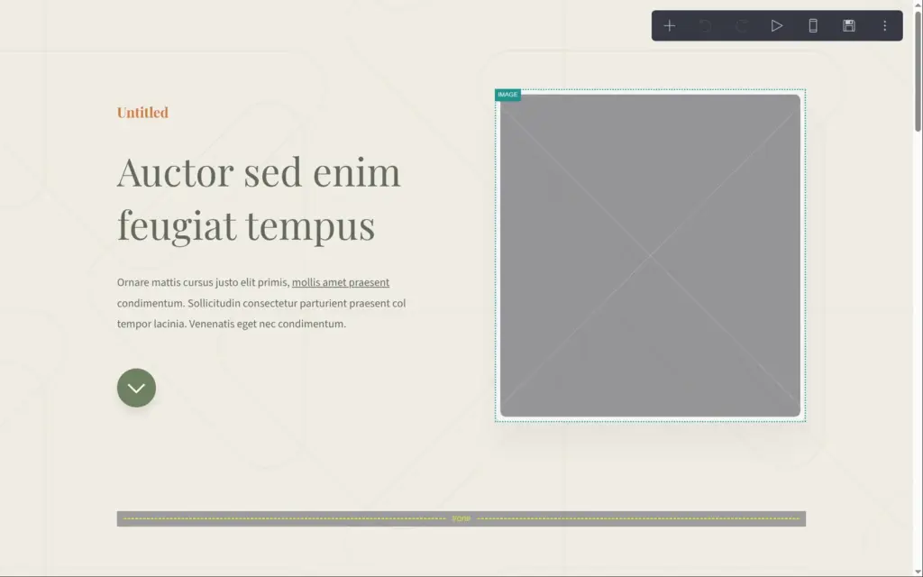 The template in the editor, with empty photo frames, in Carrd