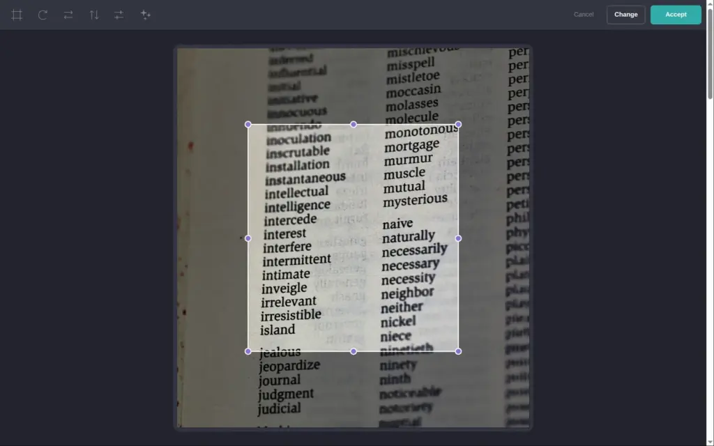 Carrd's photo editor after an upload