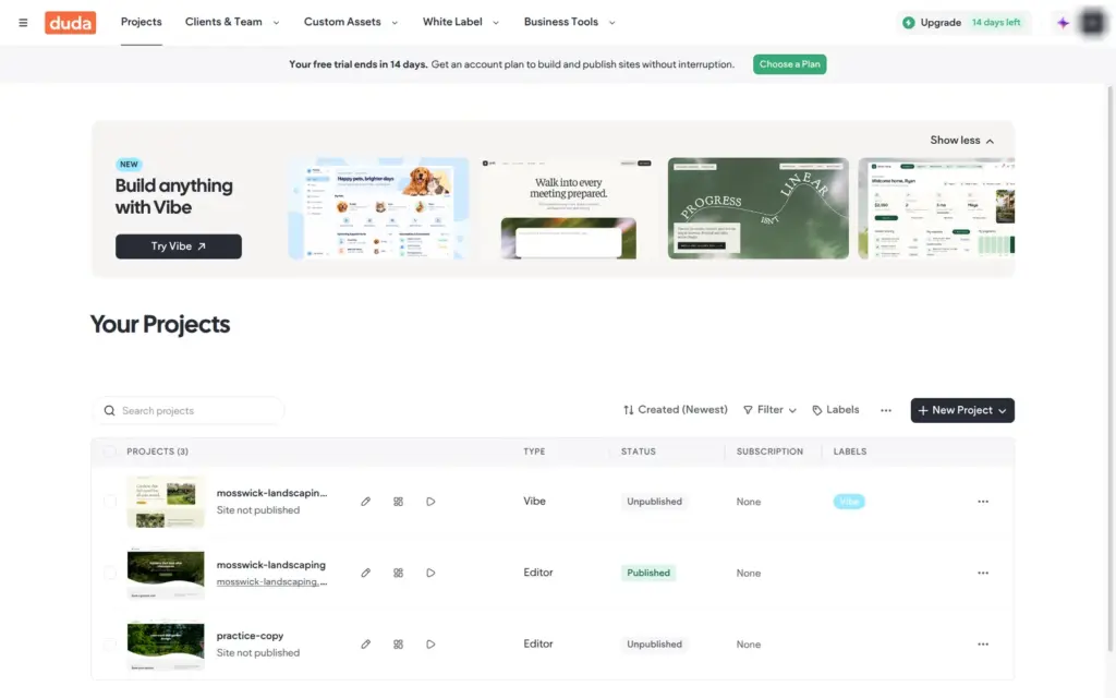 The projects list in the dashboard