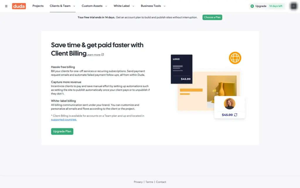 Client billing