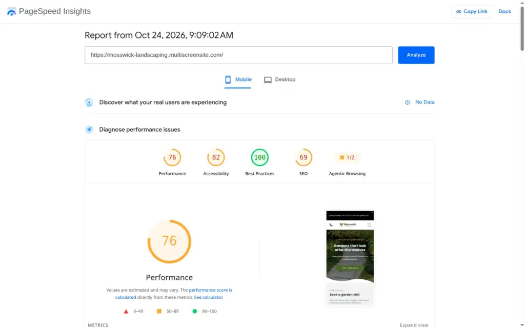 PageSpeed Insights on a simulated phone