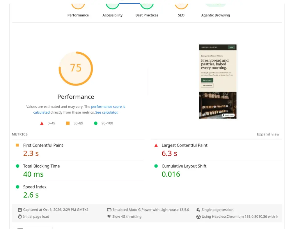 PageSpeed Insights result for the demo home page on a simulated phone