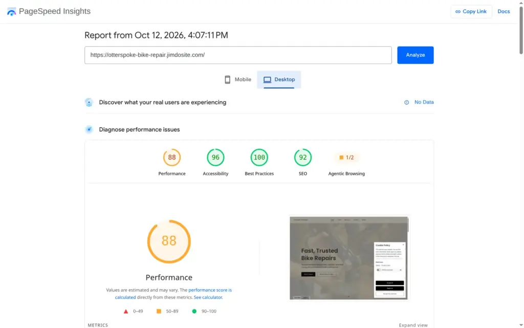 PageSpeed Insights result for the demo site on desktop