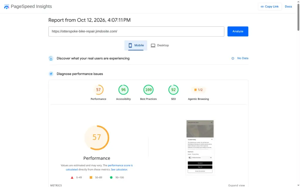 PageSpeed Insights result for the demo site on a simulated phone