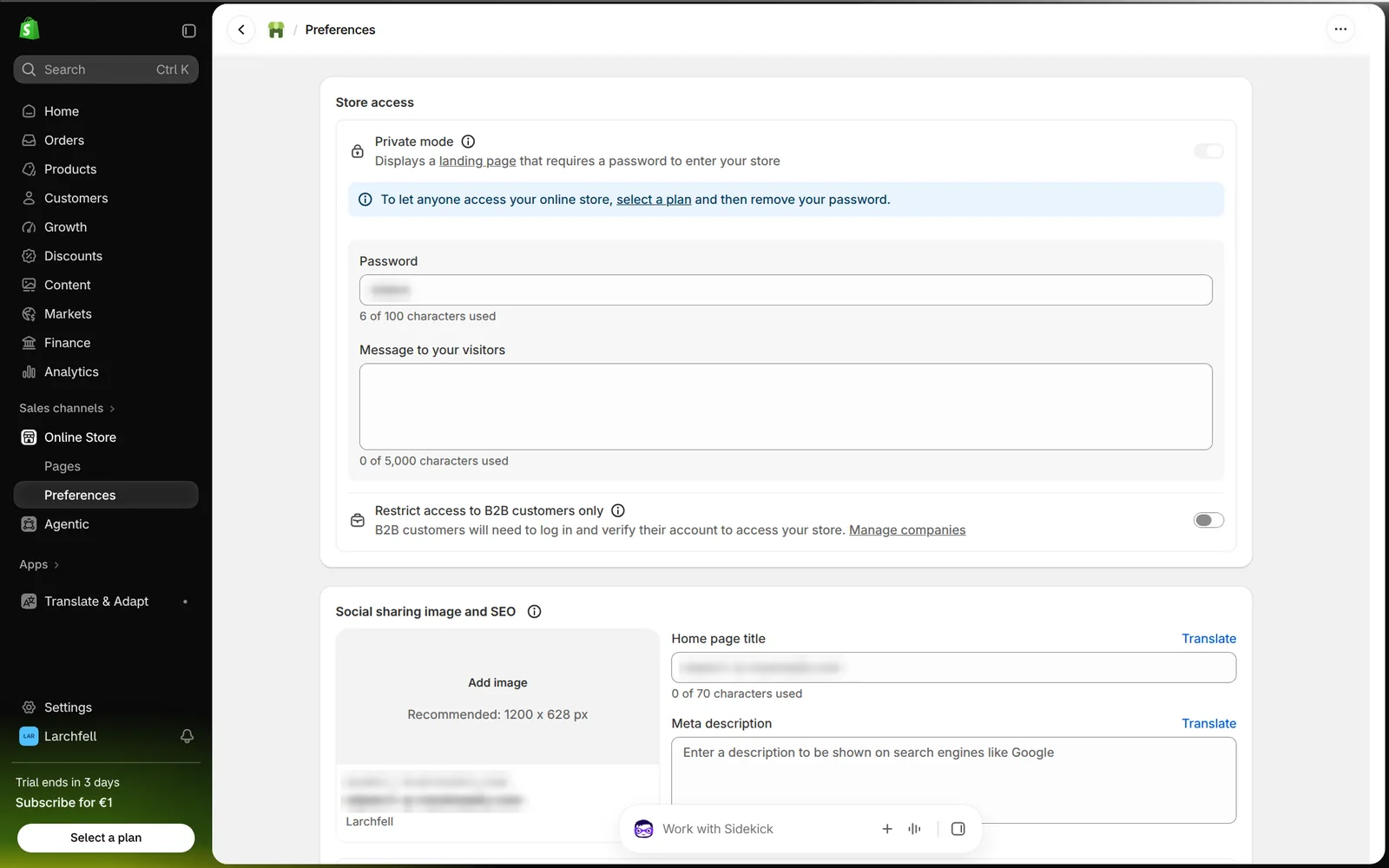 Shopify preferences with the store password and the home page title and description