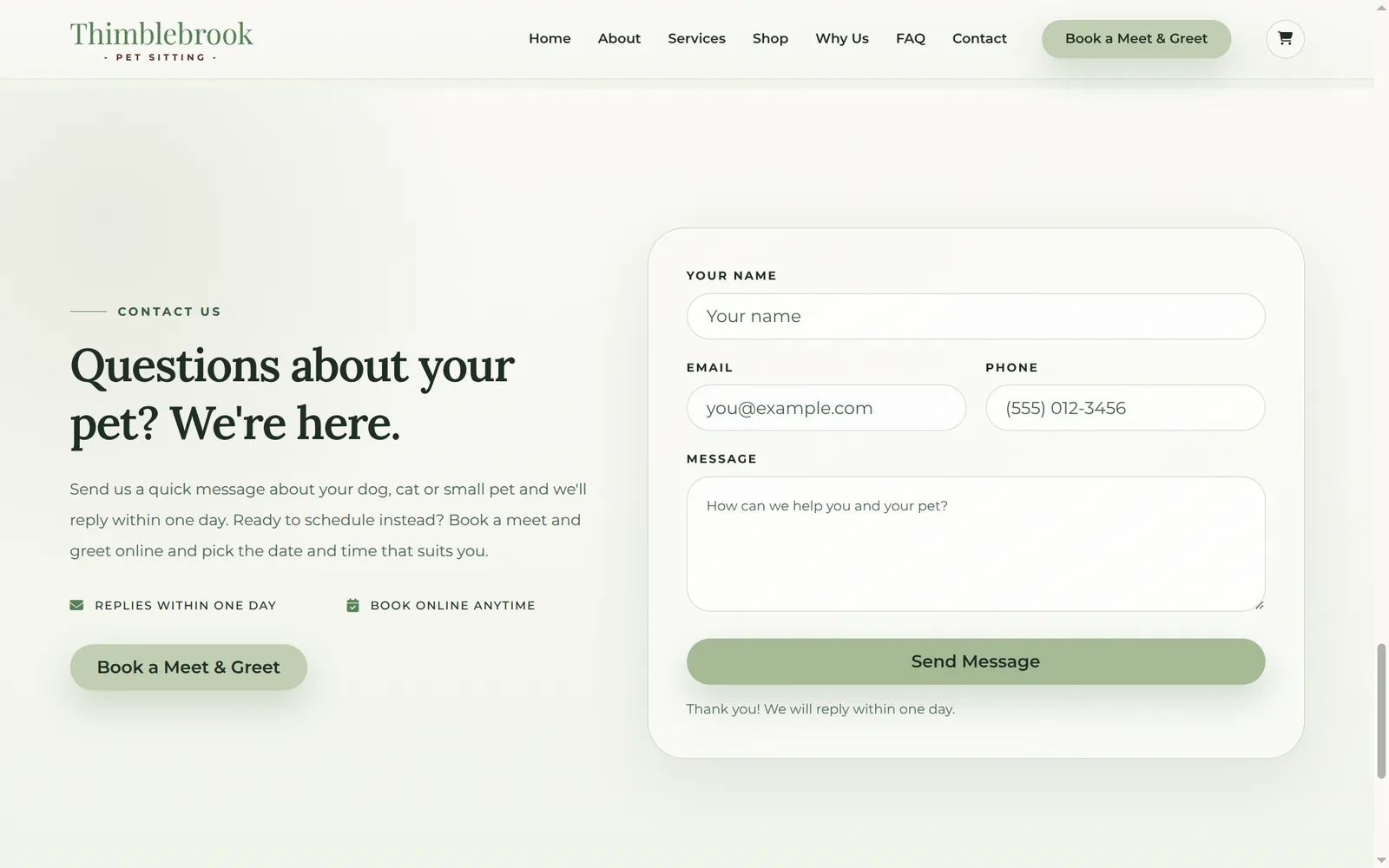 Contact form on the live site after sending a test message