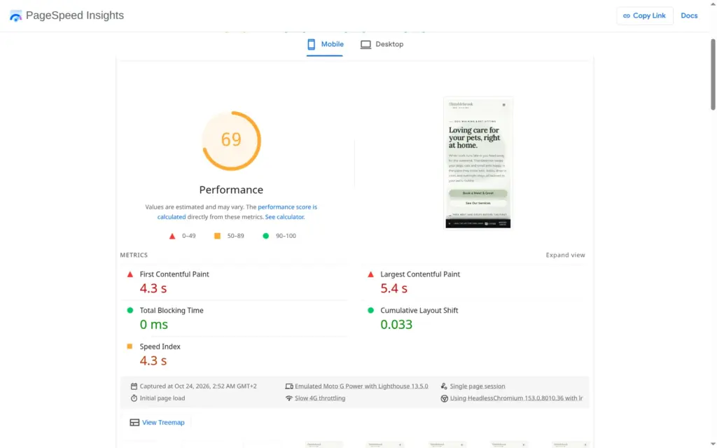 PageSpeed Insights result on a simulated phone: 69