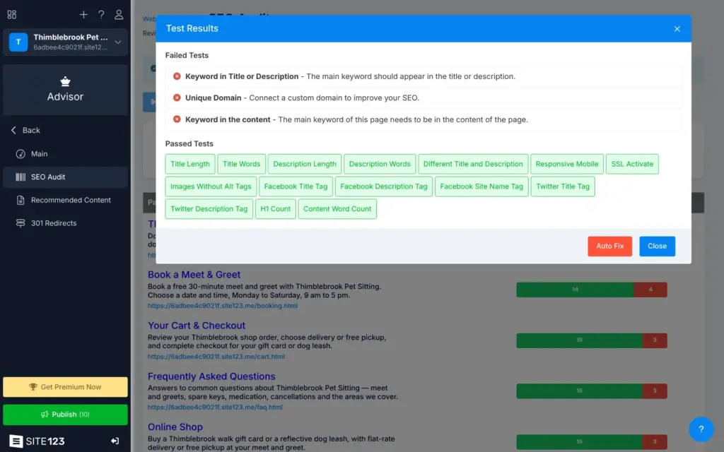 Failed and passed SEO tests for the home page