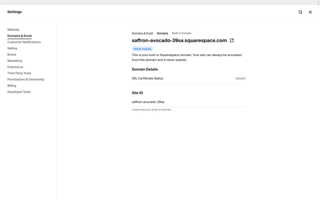 Built-in Squarespace domain settings with the site ID