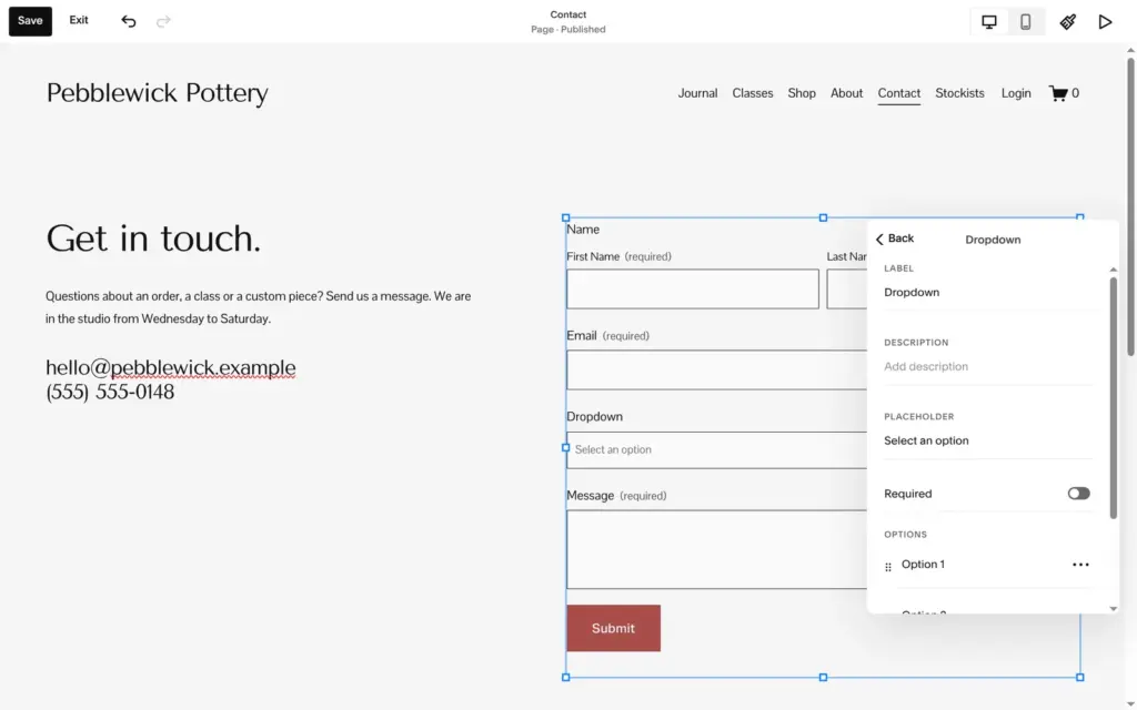 Editing a dropdown field in the Squarespace form