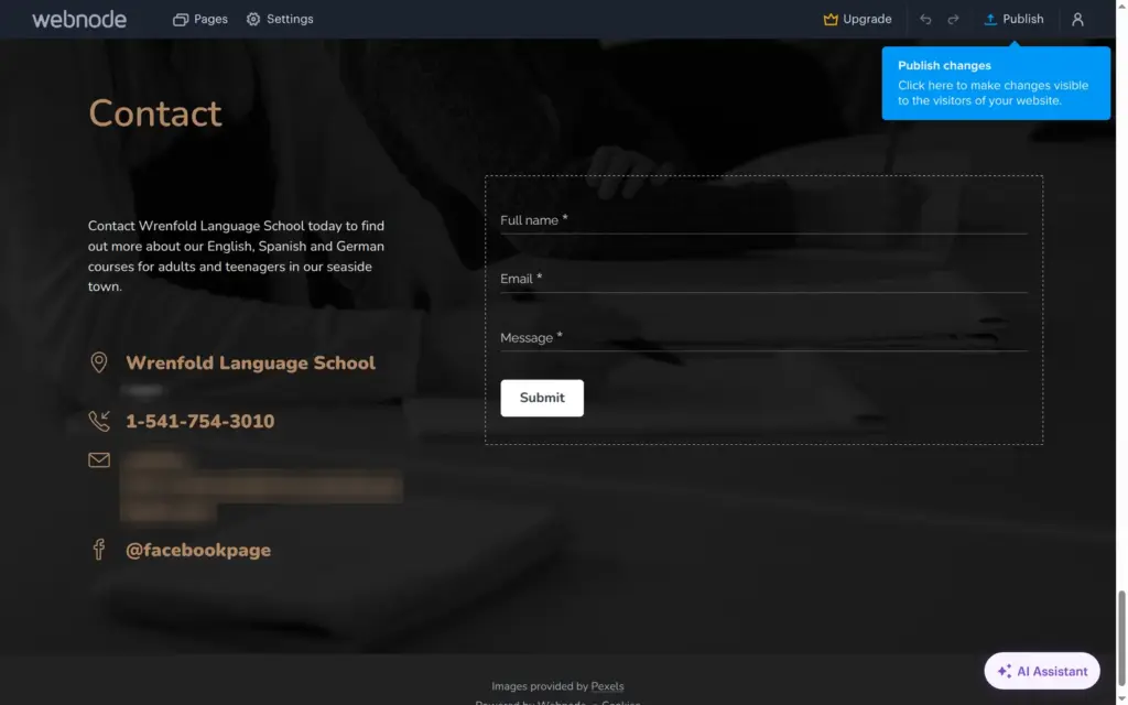 Contact block of the AI-made site, with the email address and town blurred