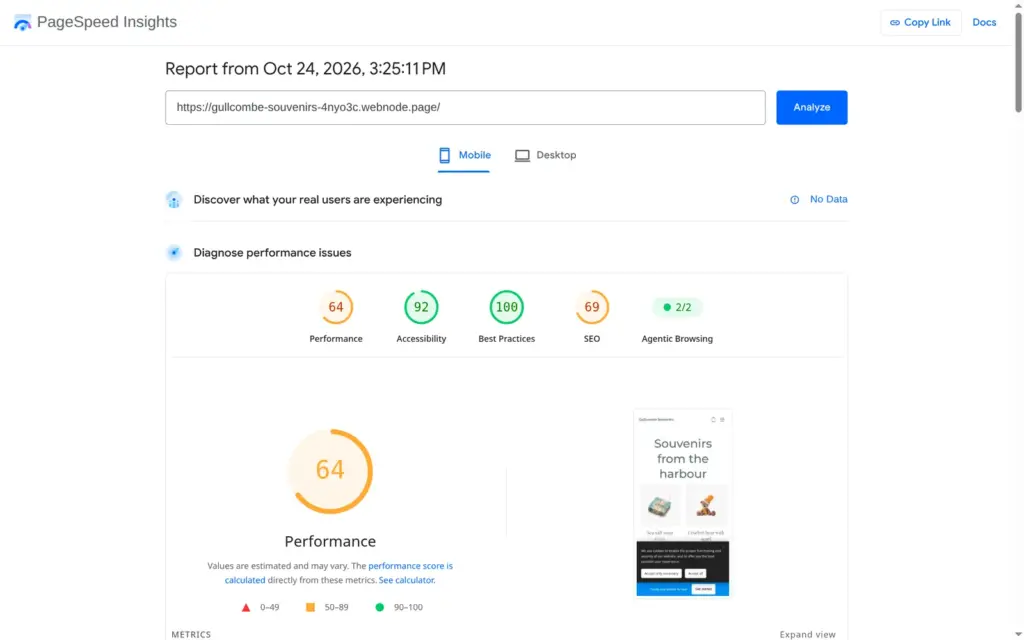 PageSpeed Insights result for the demo home page on a simulated phone