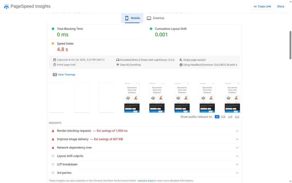 PageSpeed Insights metrics and suggestions for the phone test