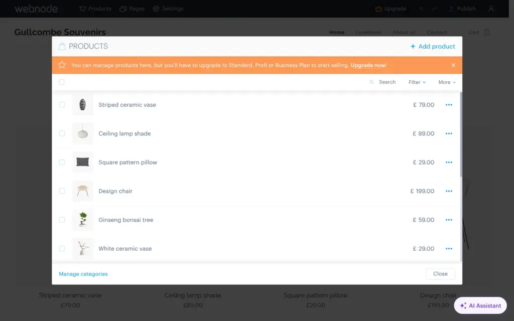 Webnode's Products window with the template's sample products