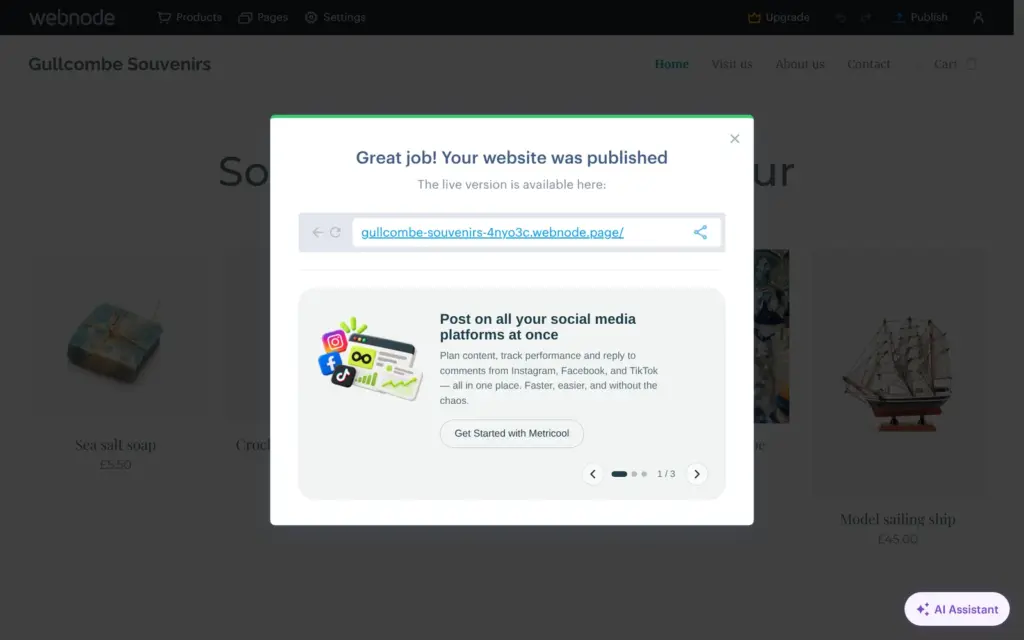 Webnode's message after publishing with the free web address