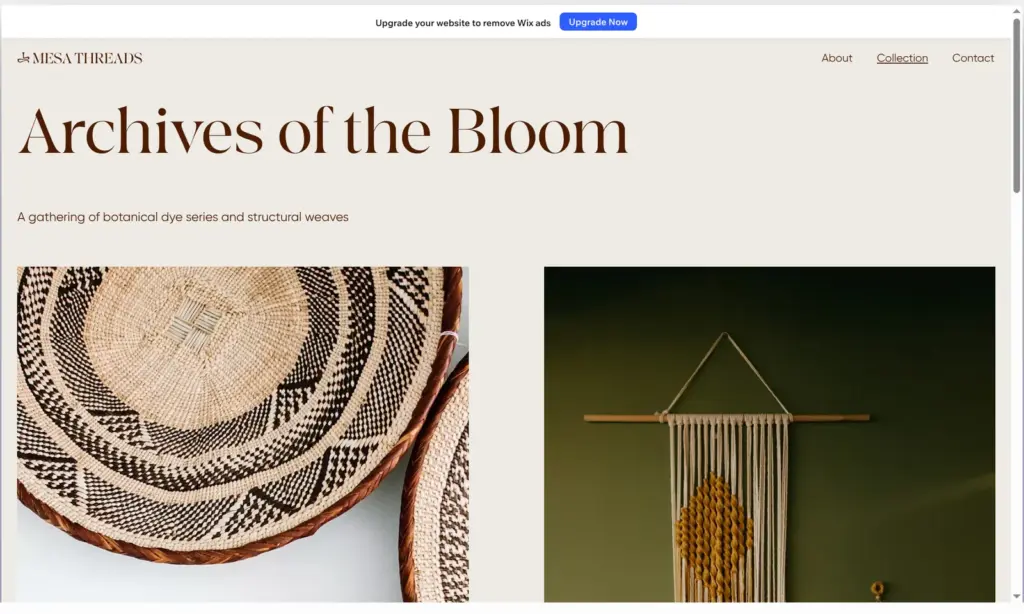 Portfolio page of the textile template in the Wix preview with two of the new projects side by side