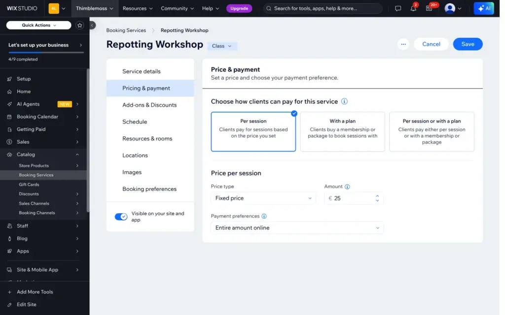 Price and payment options for the workshop