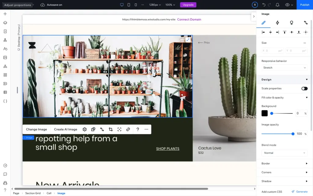 Home page with a new photo of a plant shop shelf