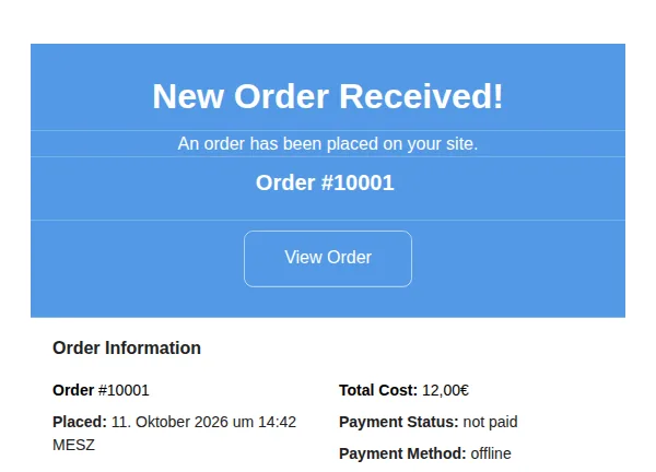 New order email for the shop owner