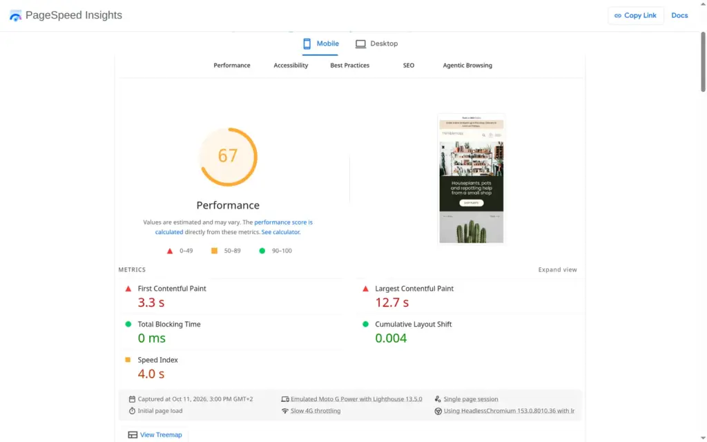 PageSpeed Insights mobile result with a performance score of 67