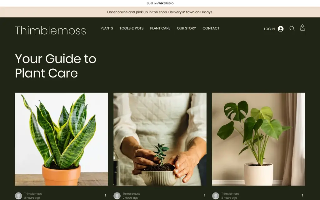 Plant care blog page with three posts