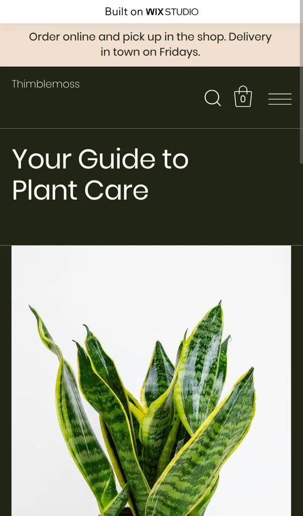 Blog page with a dark header on a phone