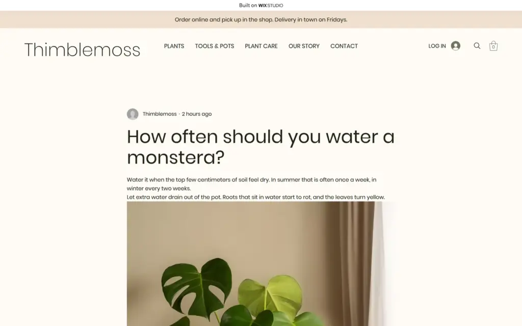 Blog post about watering a monstera