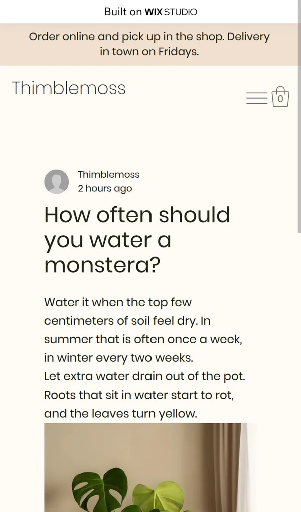 Blog post on a phone
